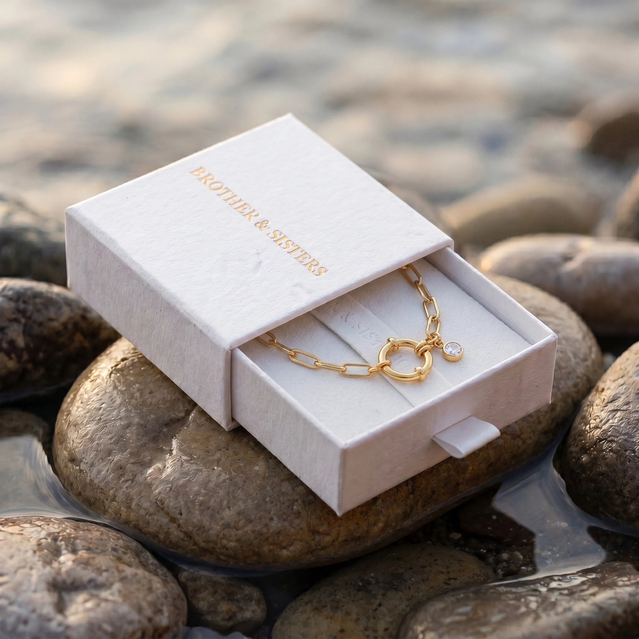 Carabiner Anklet - Image 14